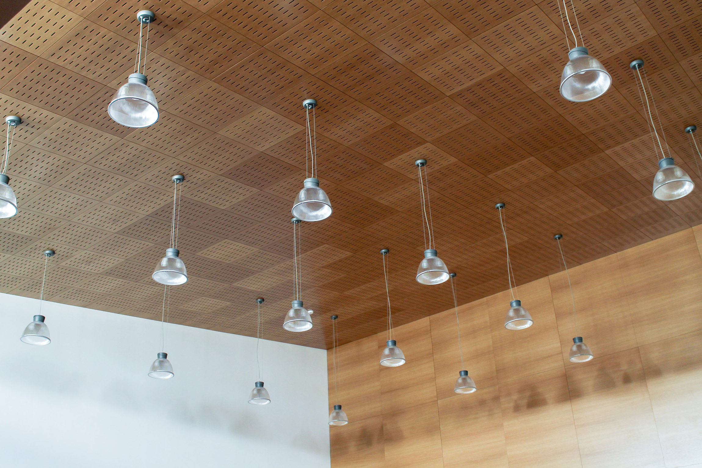 placeholder image-sq